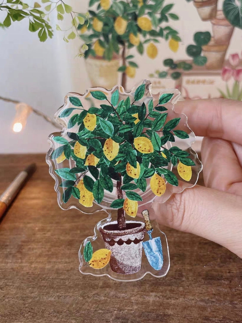 Acrylic Multi-Functional Mobile Phone Grip Stand Holder