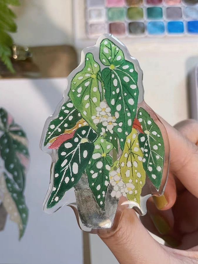 Acrylic Multi-Functional Mobile Phone Grip Stand Holder