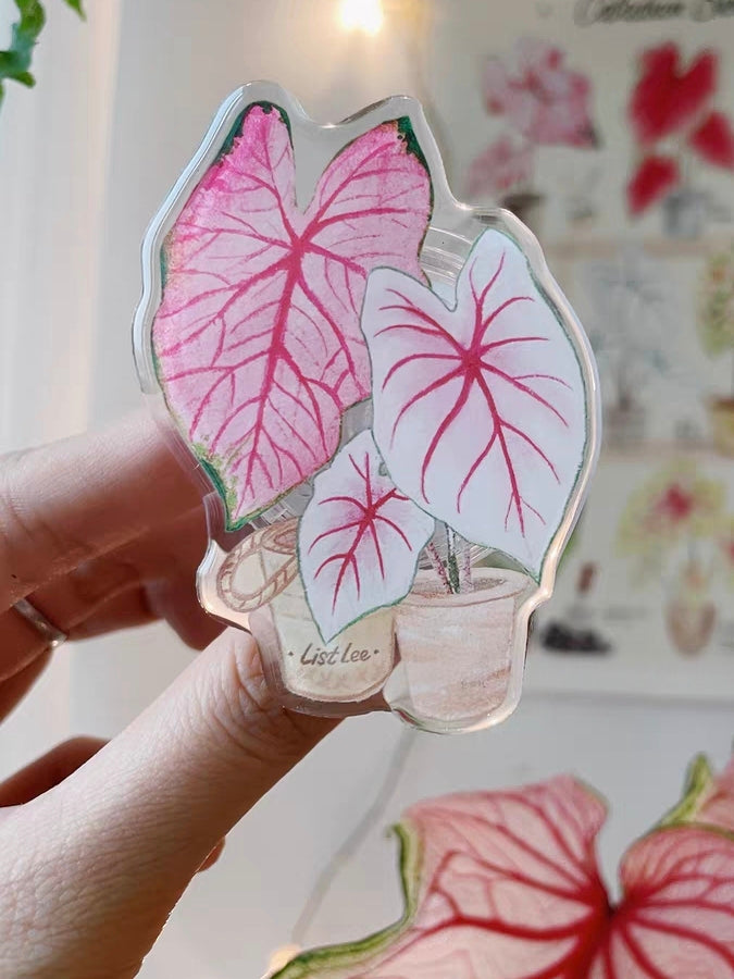 Acrylic Multi-Functional Mobile Phone Grip Stand Holder