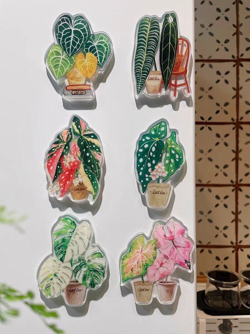 Double-Sided Refrigerator Magnet