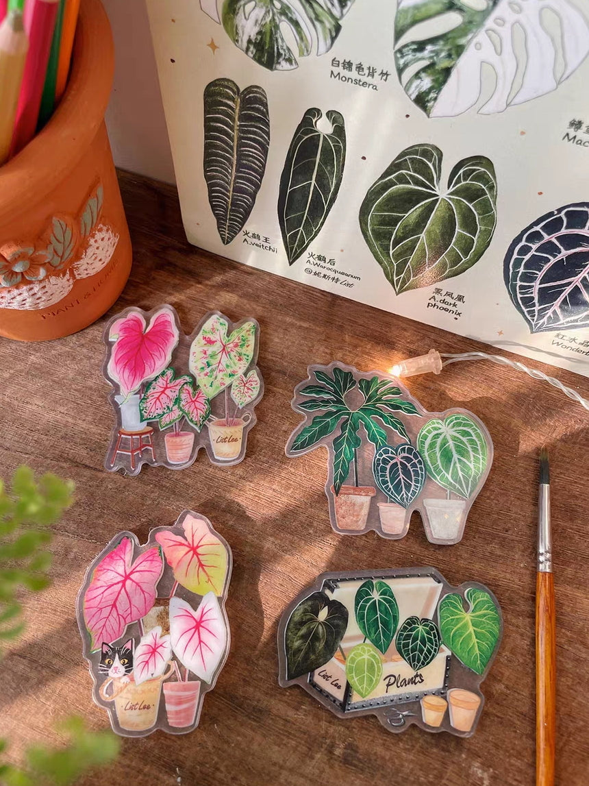 Double-Sided Refrigerator Magnet