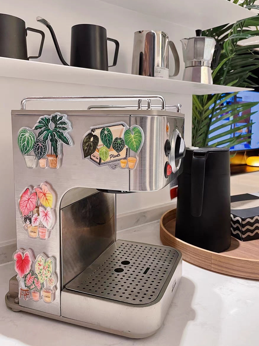 Double-Sided Refrigerator Magnet
