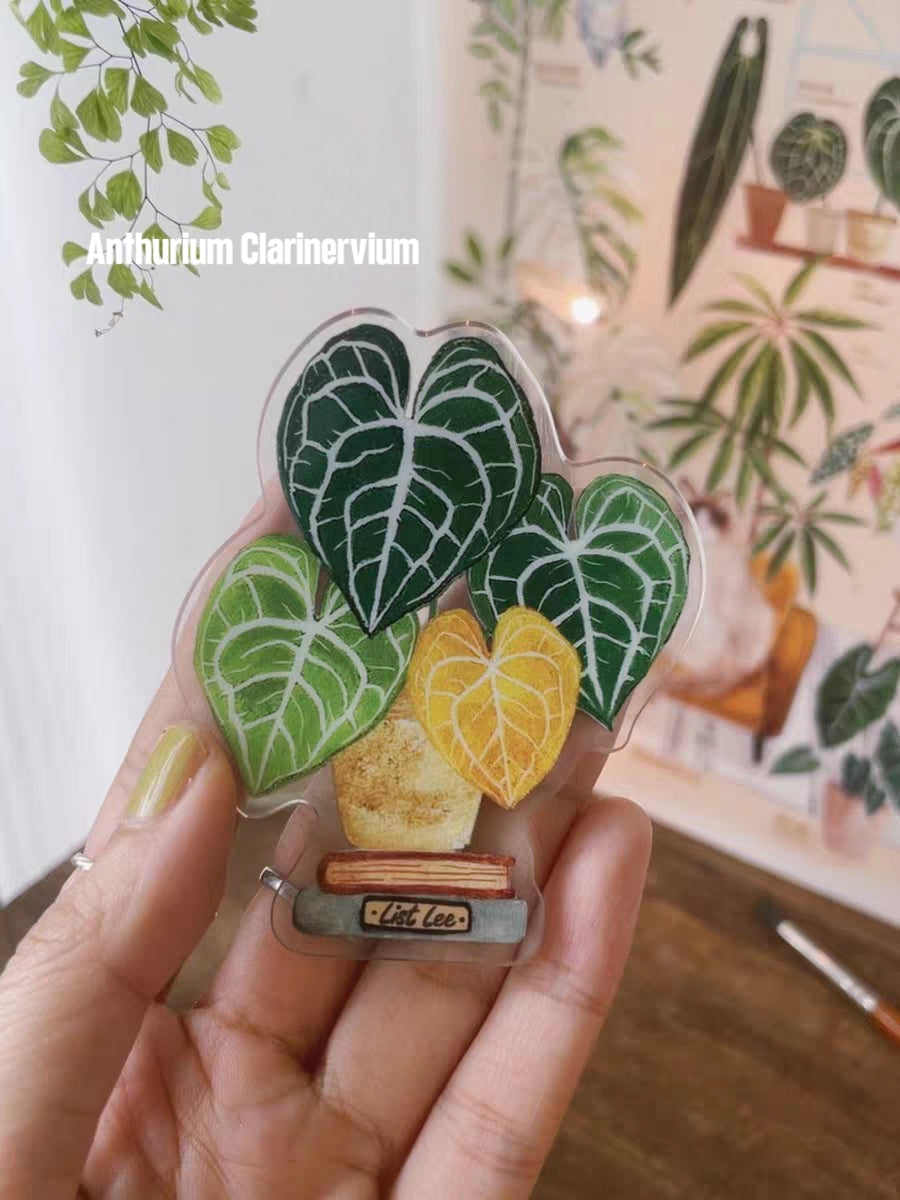 Double-Sided Refrigerator Magnet