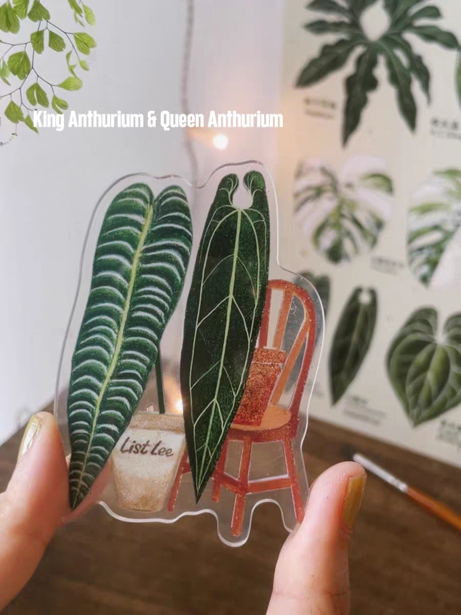 Double-Sided Refrigerator Magnet