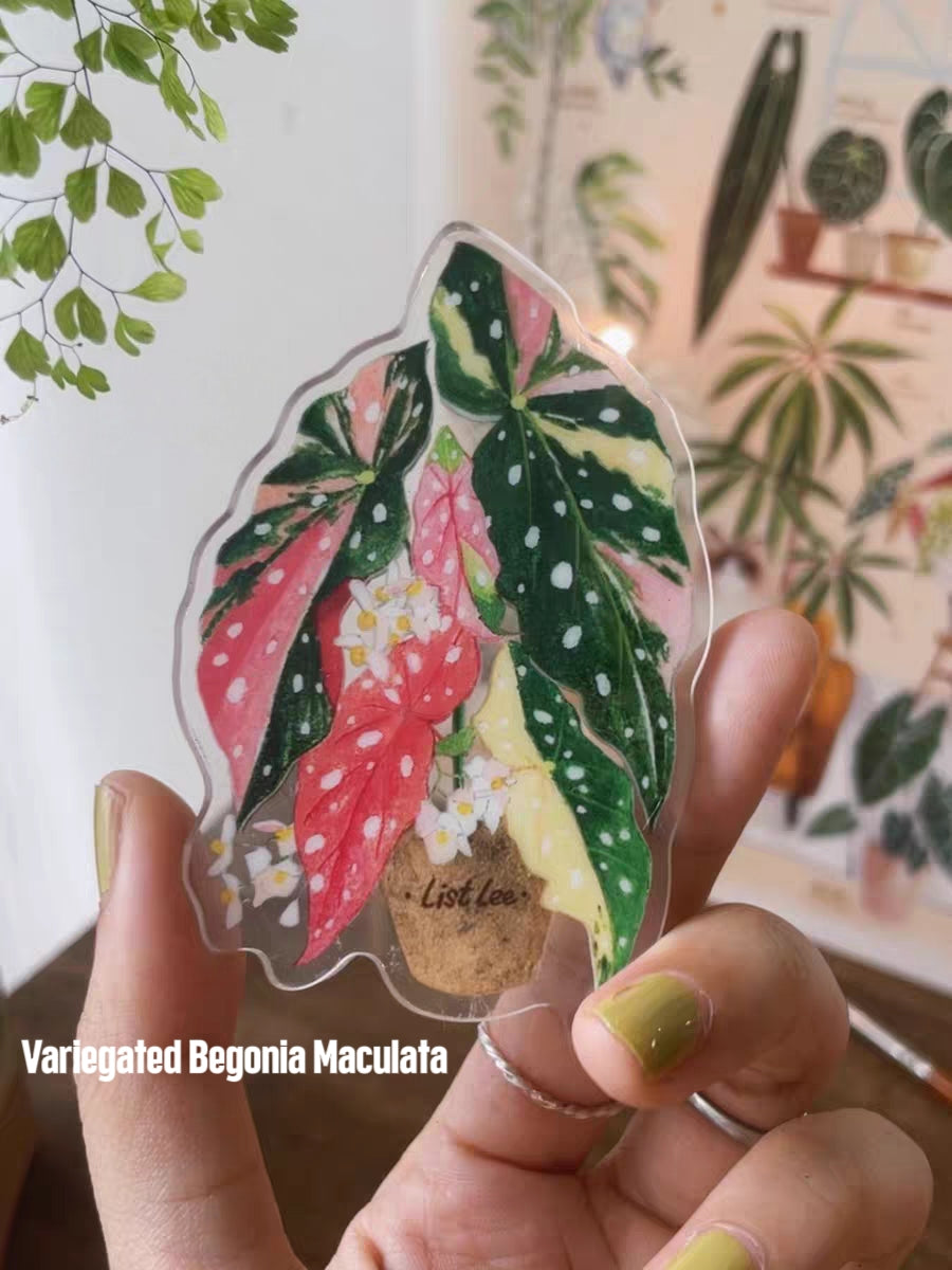 Double-Sided Refrigerator Magnet