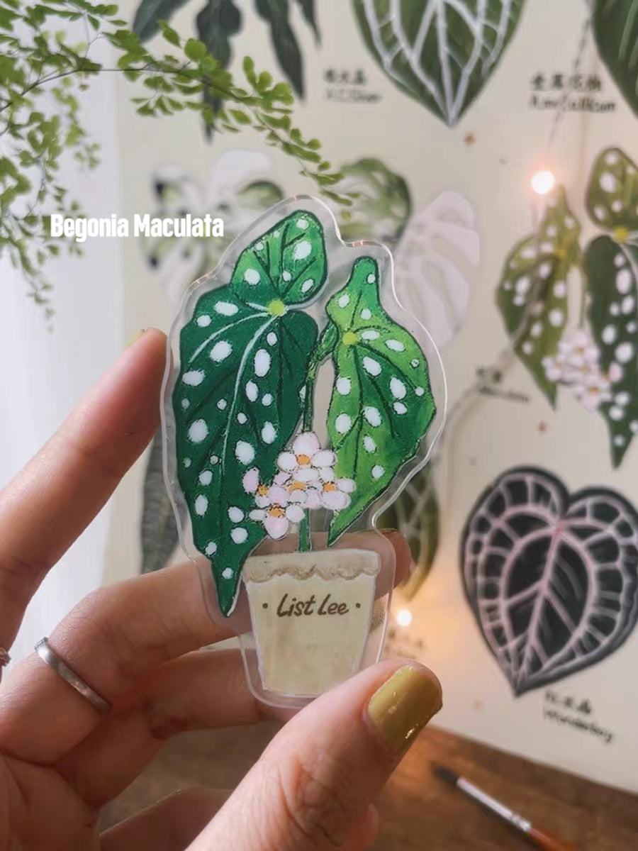 Double-Sided Refrigerator Magnet