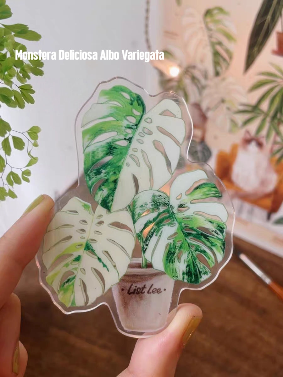 Double-Sided Refrigerator Magnet