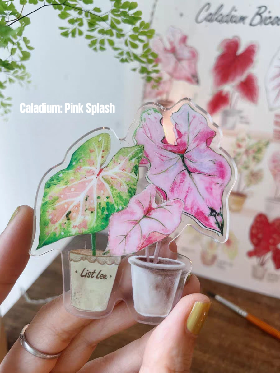 Double-Sided Refrigerator Magnet