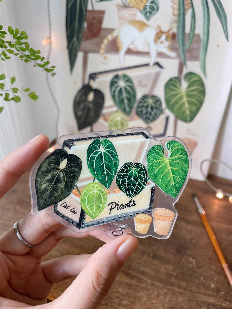 Double-Sided Refrigerator Magnet