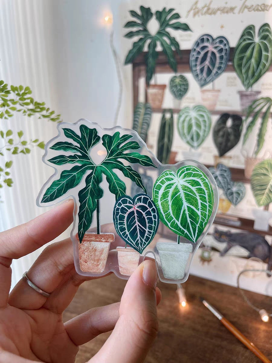 Double-Sided Refrigerator Magnet