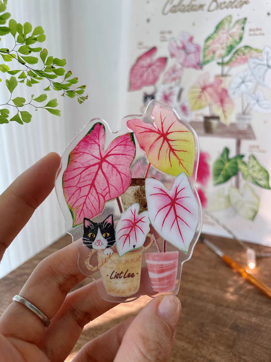 Double-Sided Refrigerator Magnet