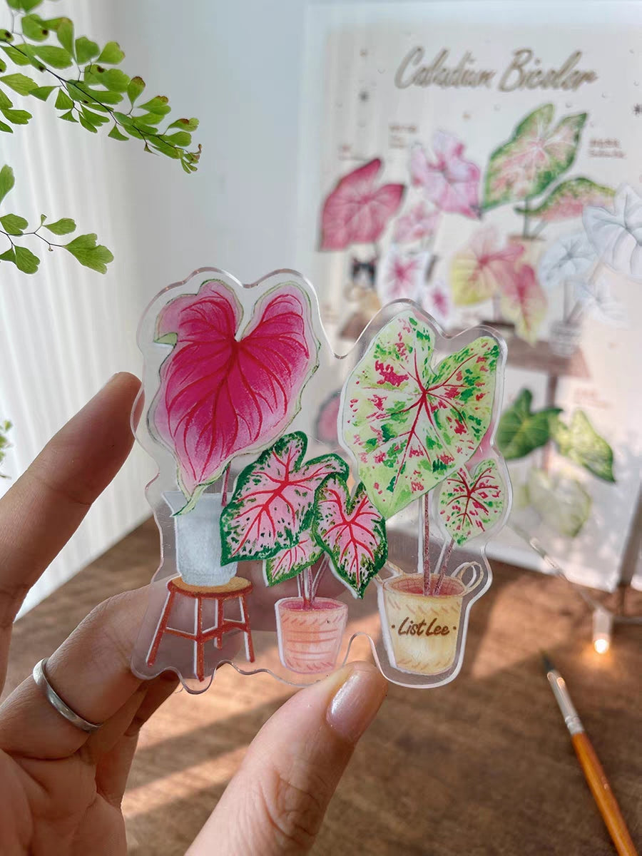 Double-Sided Refrigerator Magnet