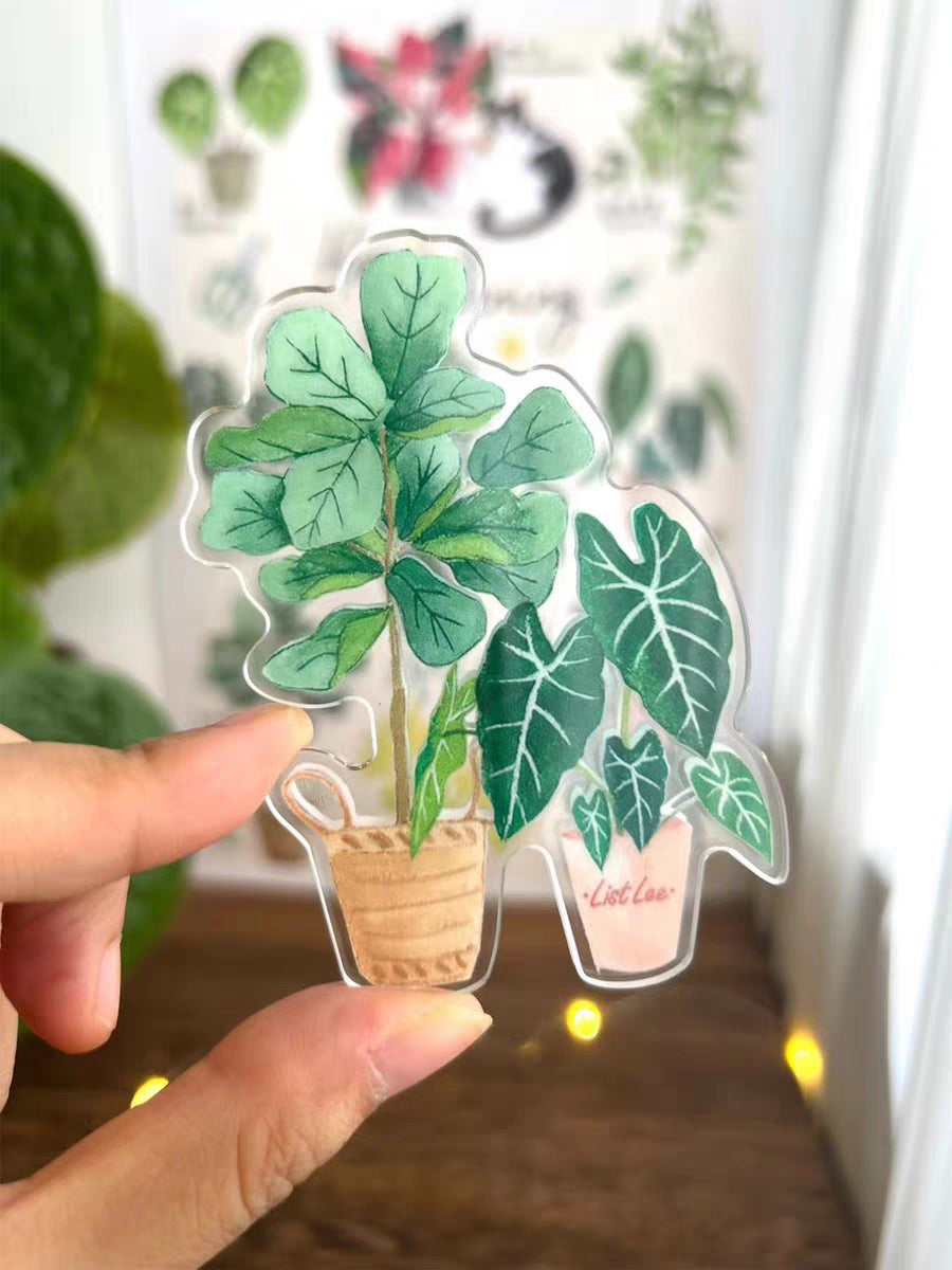 Double-Sided Refrigerator Magnet