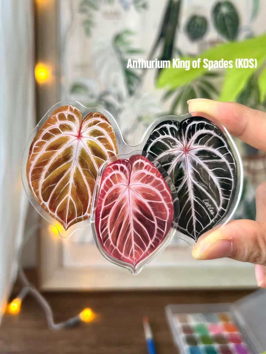 Rotatable Refrigerator Magnet - Multiple Leaves