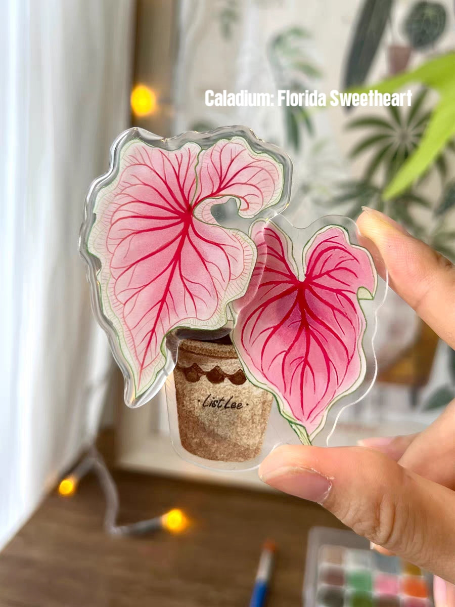 Rotatable Refrigerator Magnet - Multiple Leaves