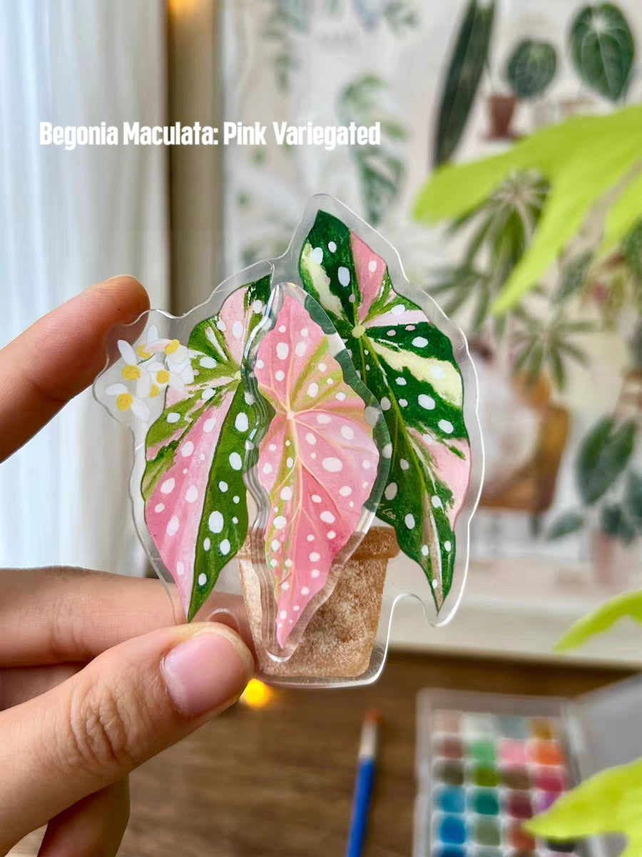 Rotatable Refrigerator Magnet - Multiple Leaves