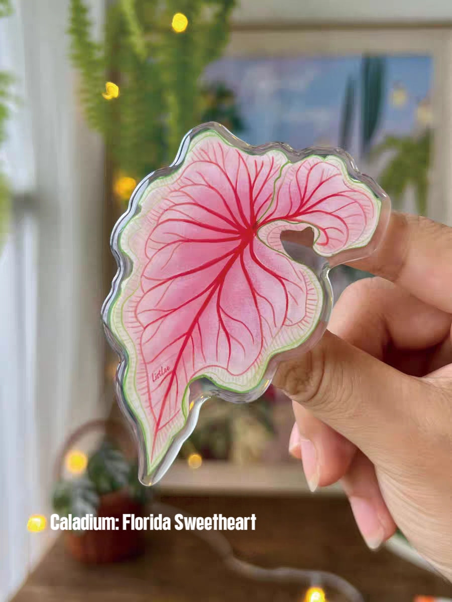 Rotatable Refrigerator Magnet - Simple Leaf