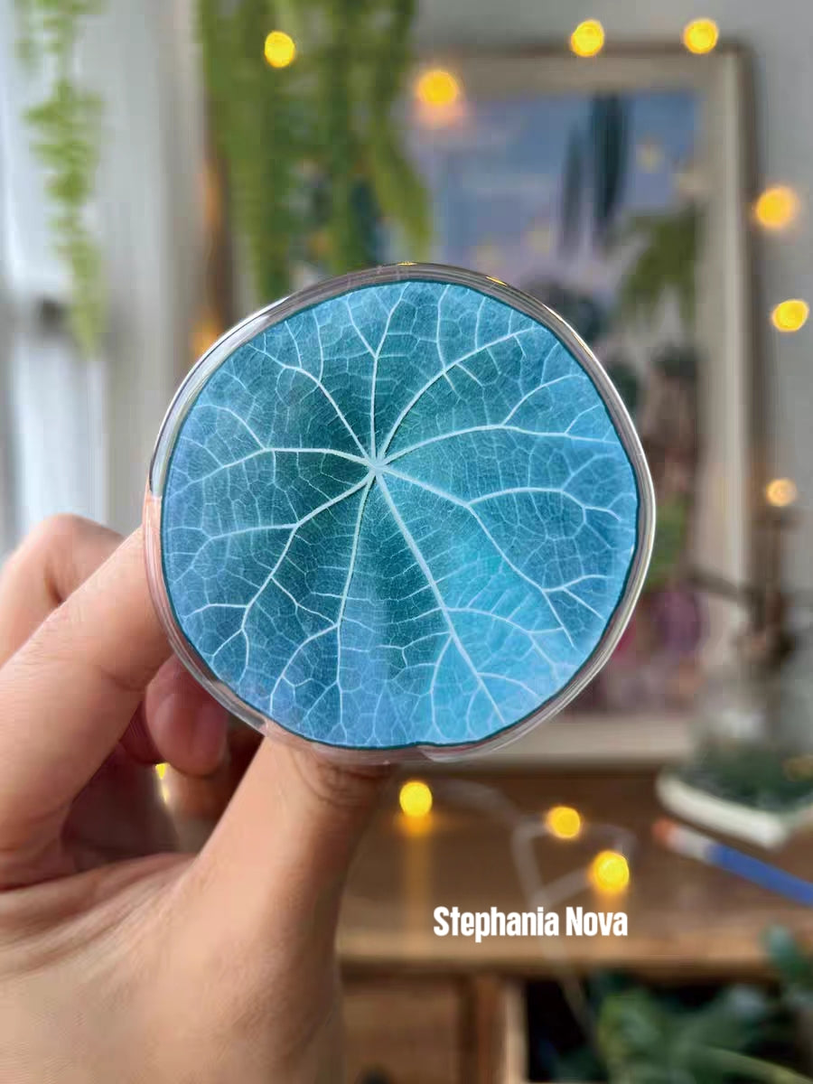 Rotatable Refrigerator Magnet - Simple Leaf